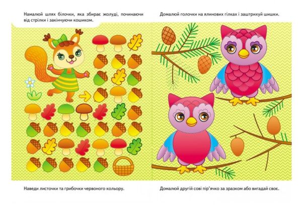 Багаторазові прописи розвивальні завдання білка Ціна (цена) 25.28грн. | придбати  купити (купить) Багаторазові прописи розвивальні завдання білка доставка по Украине, купить книгу, детские игрушки, компакт диски 3
