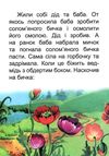 збірка казок солом'яний бичок формат А6 книга Ціна (цена) 25.00грн. | придбати  купити (купить) збірка казок солом'яний бичок формат А6 книга доставка по Украине, купить книгу, детские игрушки, компакт диски 4