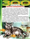 світ казки дивна дружба книга Ціна (цена) 194.40грн. | придбати  купити (купить) світ казки дивна дружба книга доставка по Украине, купить книгу, детские игрушки, компакт диски 3