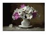Розпис по номерах 40х50 GX3761 Космеї brushme Брашми Ціна (цена) 157.90грн. | придбати  купити (купить) Розпис по номерах 40х50 GX3761 Космеї brushme Брашми доставка по Украине, купить книгу, детские игрушки, компакт диски 0