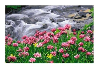 Розпис по номерах 40х50 GX38045 Квітучий водоспад brushme Брашми