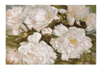 Розпис по номерах 40х50 КНО2985 Білосніжна краса "Ідейка"