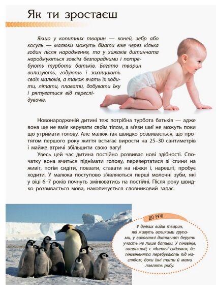 пізнаємо та досліджуємо людина та її тіло книга Ціна (цена) 156.60грн. | придбати  купити (купить) пізнаємо та досліджуємо людина та її тіло книга доставка по Украине, купить книгу, детские игрушки, компакт диски 5