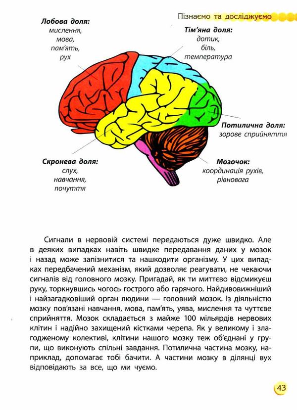 пізнаємо та досліджуємо людина та її тіло книга Ціна (цена) 108.80грн. | придбати  купити (купить) пізнаємо та досліджуємо людина та її тіло книга доставка по Украине, купить книгу, детские игрушки, компакт диски 7