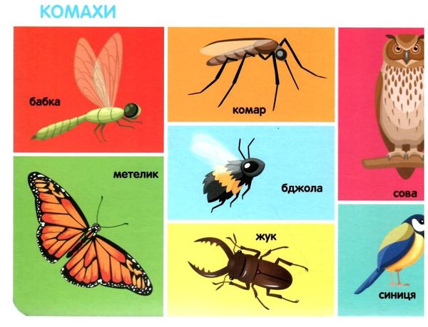трофимова смарт-книги 100 перших слів картонка Ціна (цена) 90.10грн. | придбати  купити (купить) трофимова смарт-книги 100 перших слів картонка доставка по Украине, купить книгу, детские игрушки, компакт диски 1