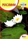 уцінка класна абетка рослини (трохи заломлені кутики) Ціна (цена) 35.00грн. | придбати  купити (купить) уцінка класна абетка рослини (трохи заломлені кутики) доставка по Украине, купить книгу, детские игрушки, компакт диски 0