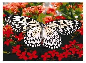 Розпис по номерах 40х50 13119-АС Красуня у квітах "Art Craft" арт крафт