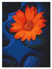 Розпис по номерах 40х50 13124-АС Квітка лотоса "Art Craft" арт крафт